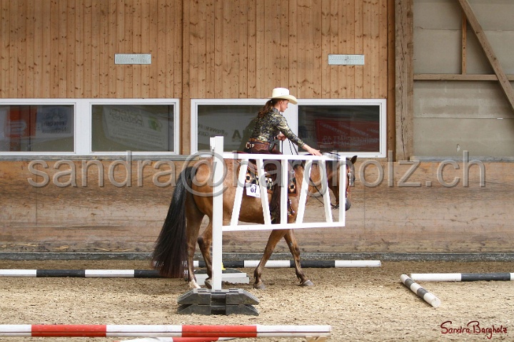 28-ApHC OT_032.jpg